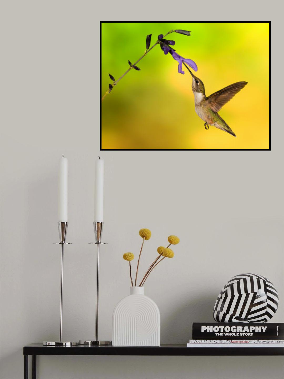 Feeding Poster och Canvastavla