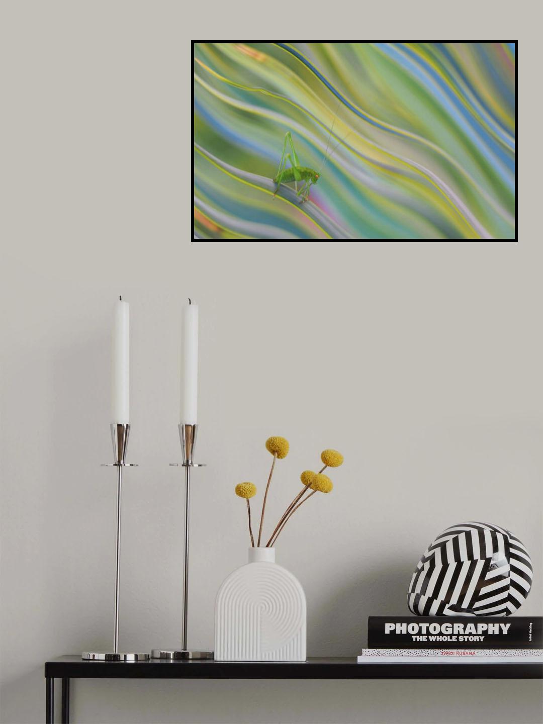 Life is nice in the rainbow... Poster och Canvastavla