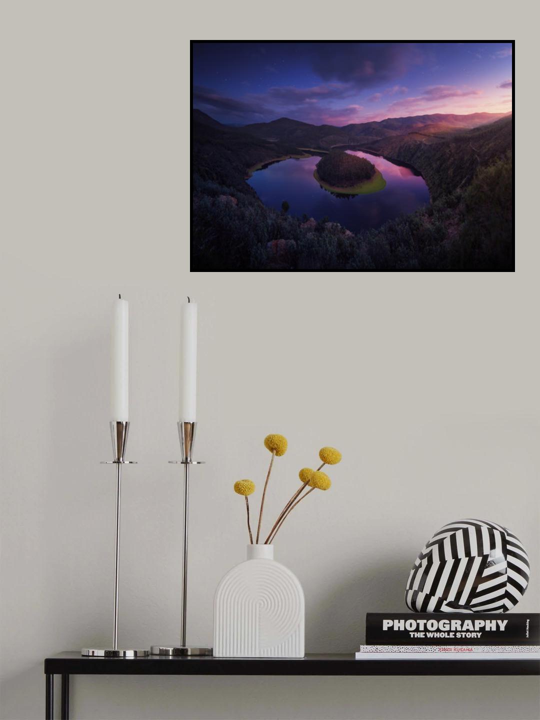 U. Poster och Canvastavla