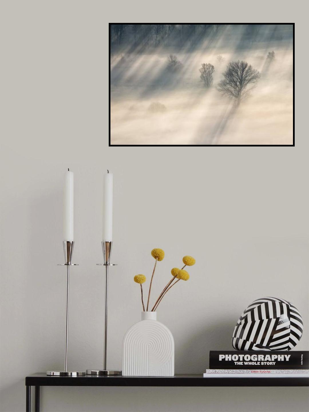 SUNBEAMS Poster och Canvastavla
