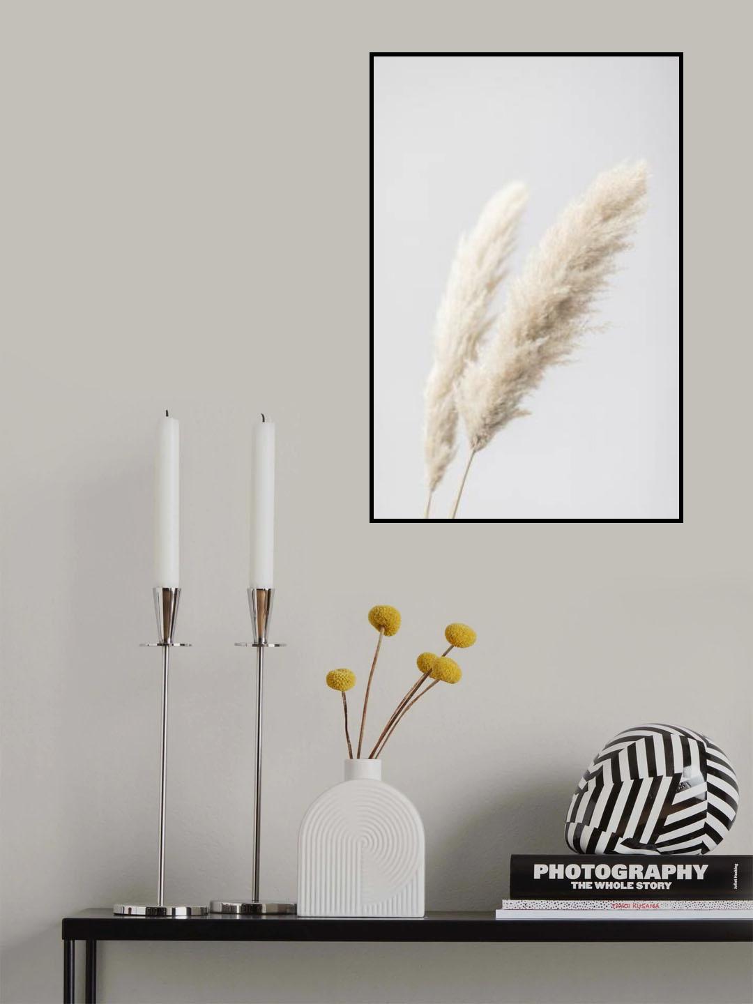 Pampas Grass Grey 13 Poster och Canvastavla