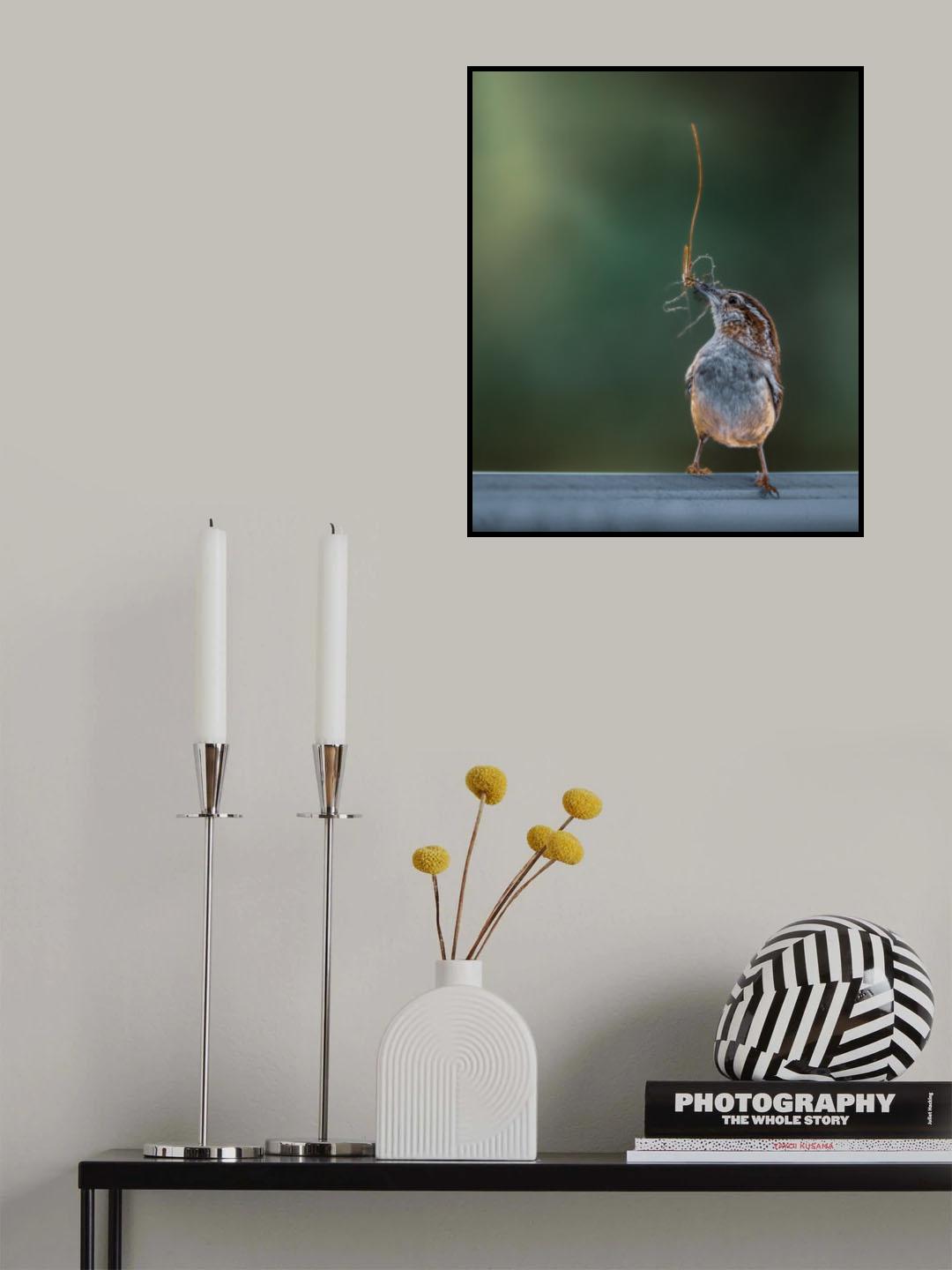 Morning light Poster och Canvastavla