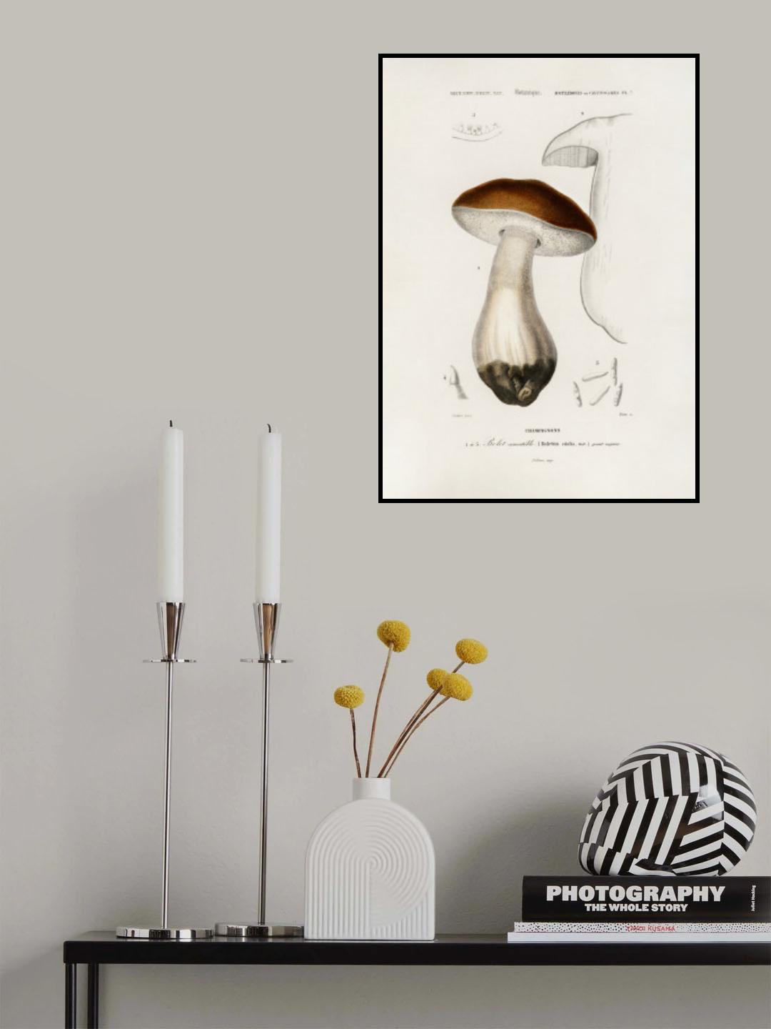 Penny Bun (boletus Edulis) Poster och Canvastavla