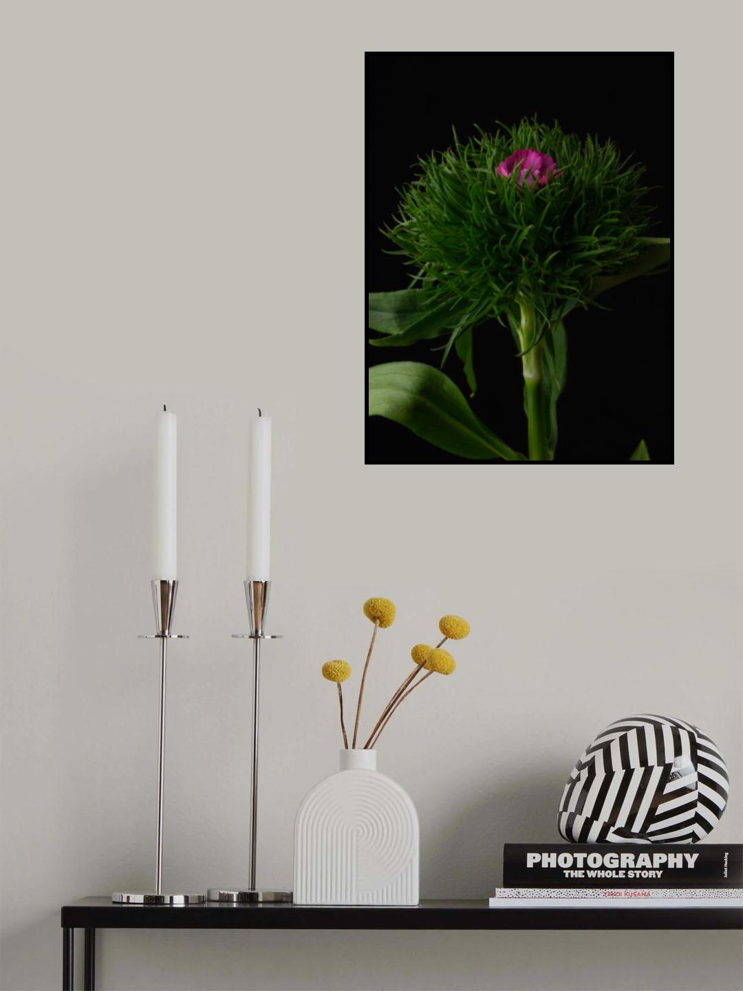 spring flower Poster och Canvastavla
