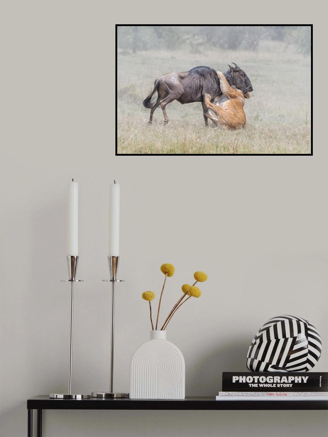 Fighting Poster och Canvastavla