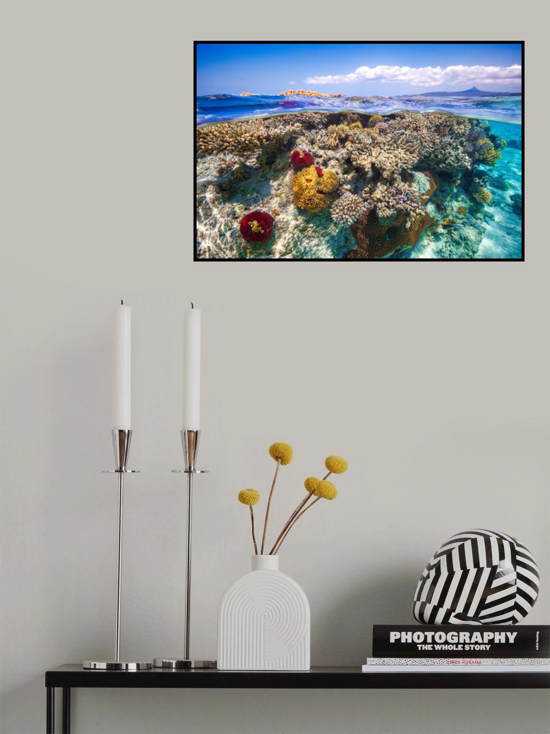 Mayotte : The Reef Poster och Canvastavla
