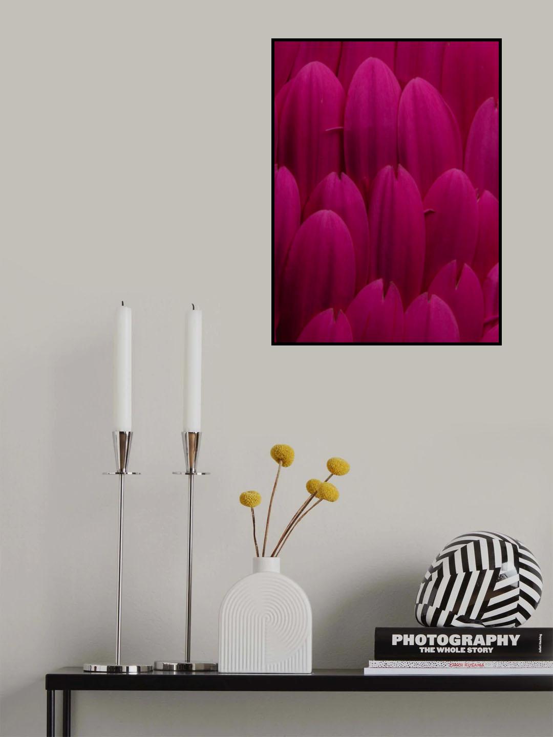 flower petals Poster och Canvastavla