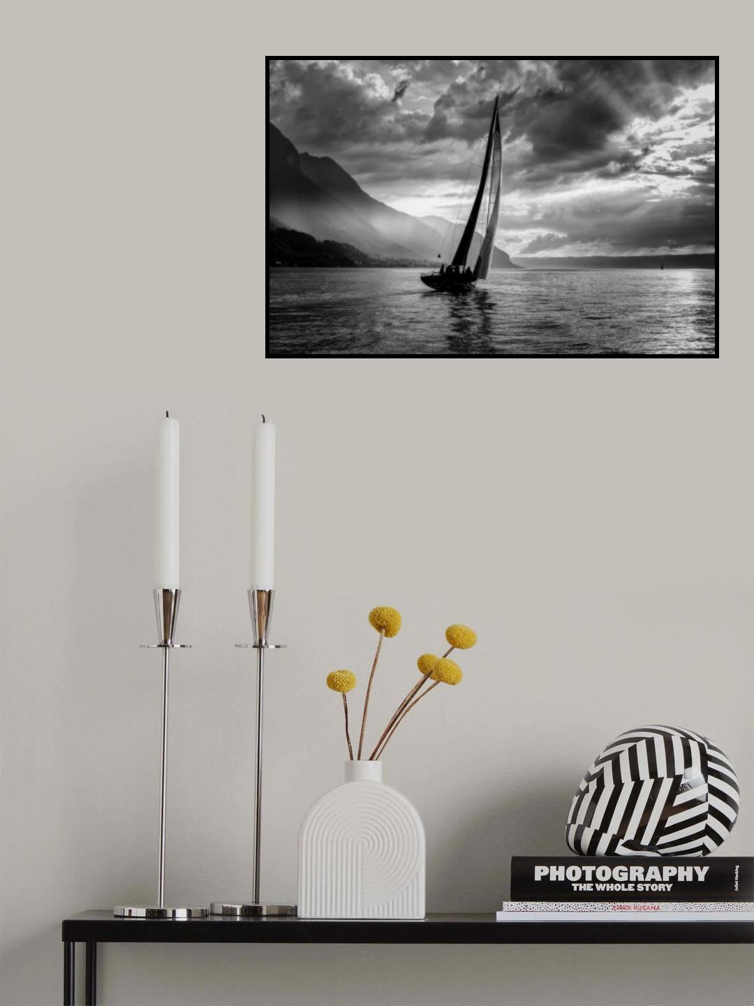 furia Poster och Canvastavla