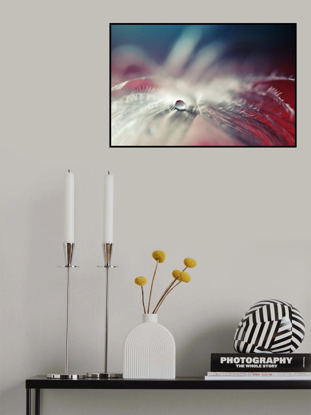 Stories of drops Poster och Canvastavla