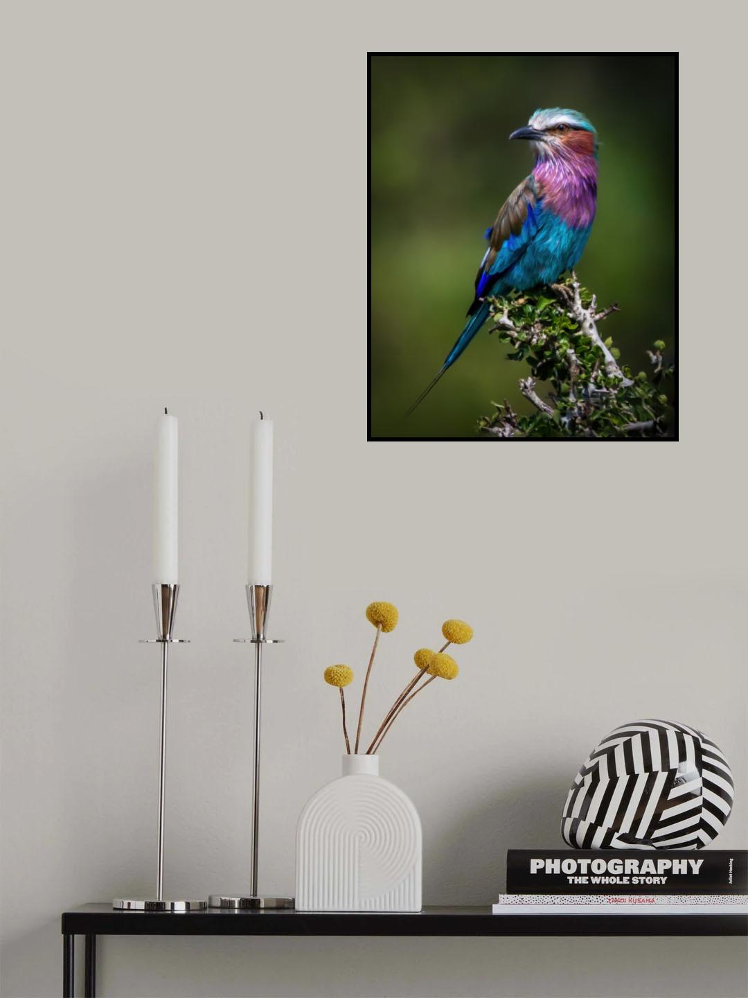 Colorful Rollin' Poster och Canvastavla