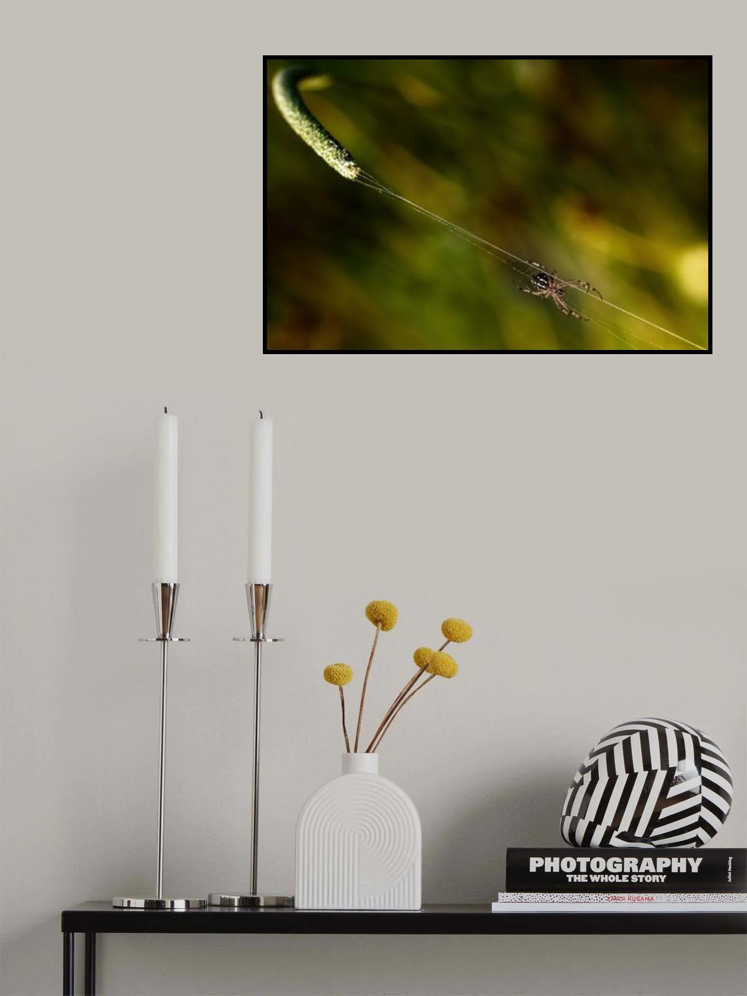 Catapult. Poster och Canvastavla