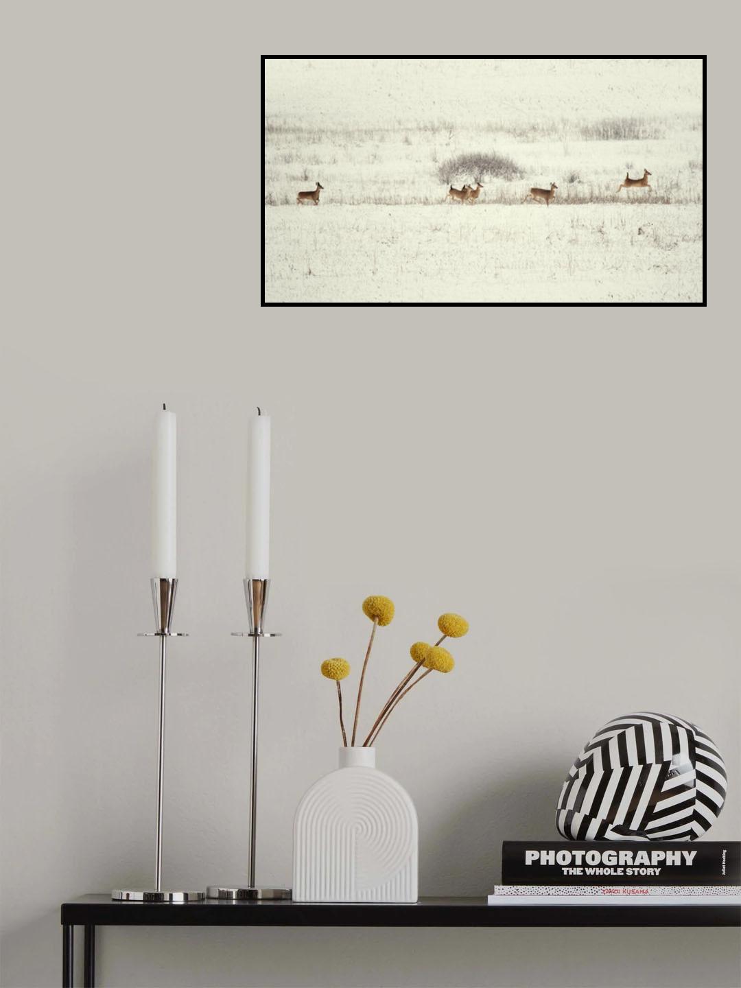 Santa Claus's reindeer Poster och Canvastavla
