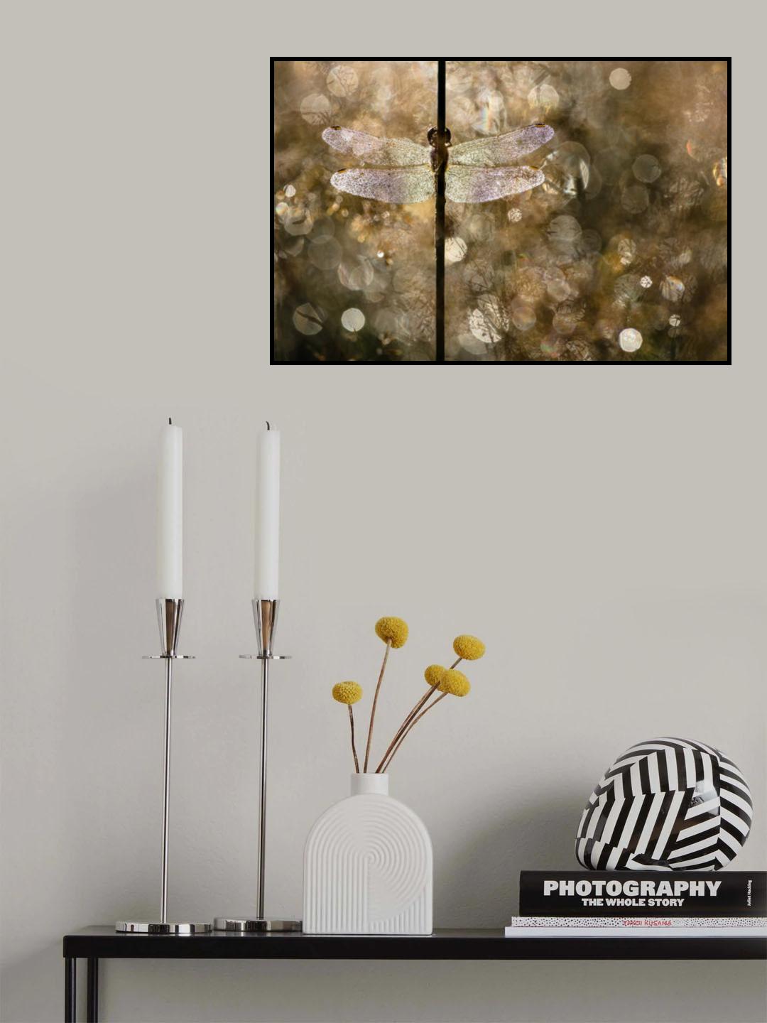 Morning Light Poster och Canvastavla