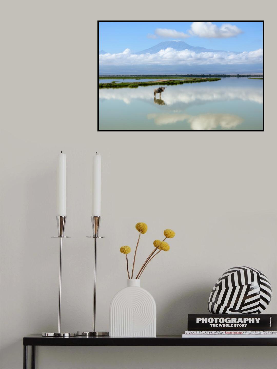 Wildebeest with Kilimanjaro Poster och Canvastavla