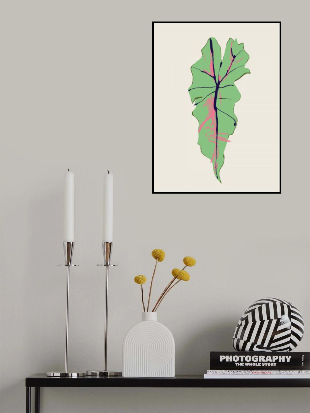 Alocasia Polly Poster och Canvastavla