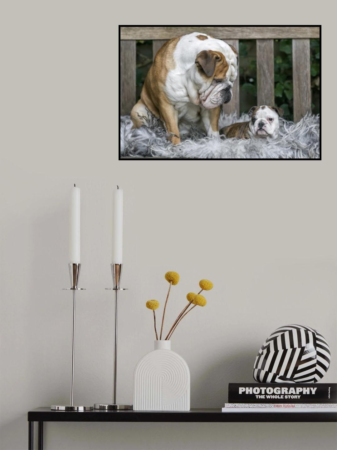 Just take my advice, little one Poster och Canvastavla