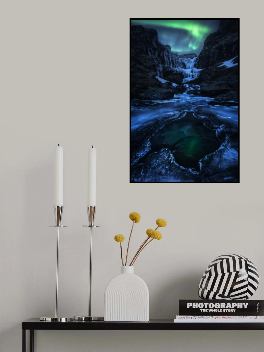 A Frozen Beauty Poster och Canvastavla