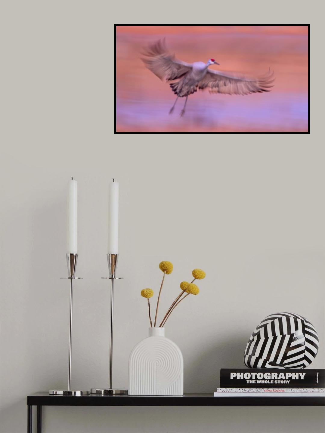 Land in the Dreams Poster och Canvastavla