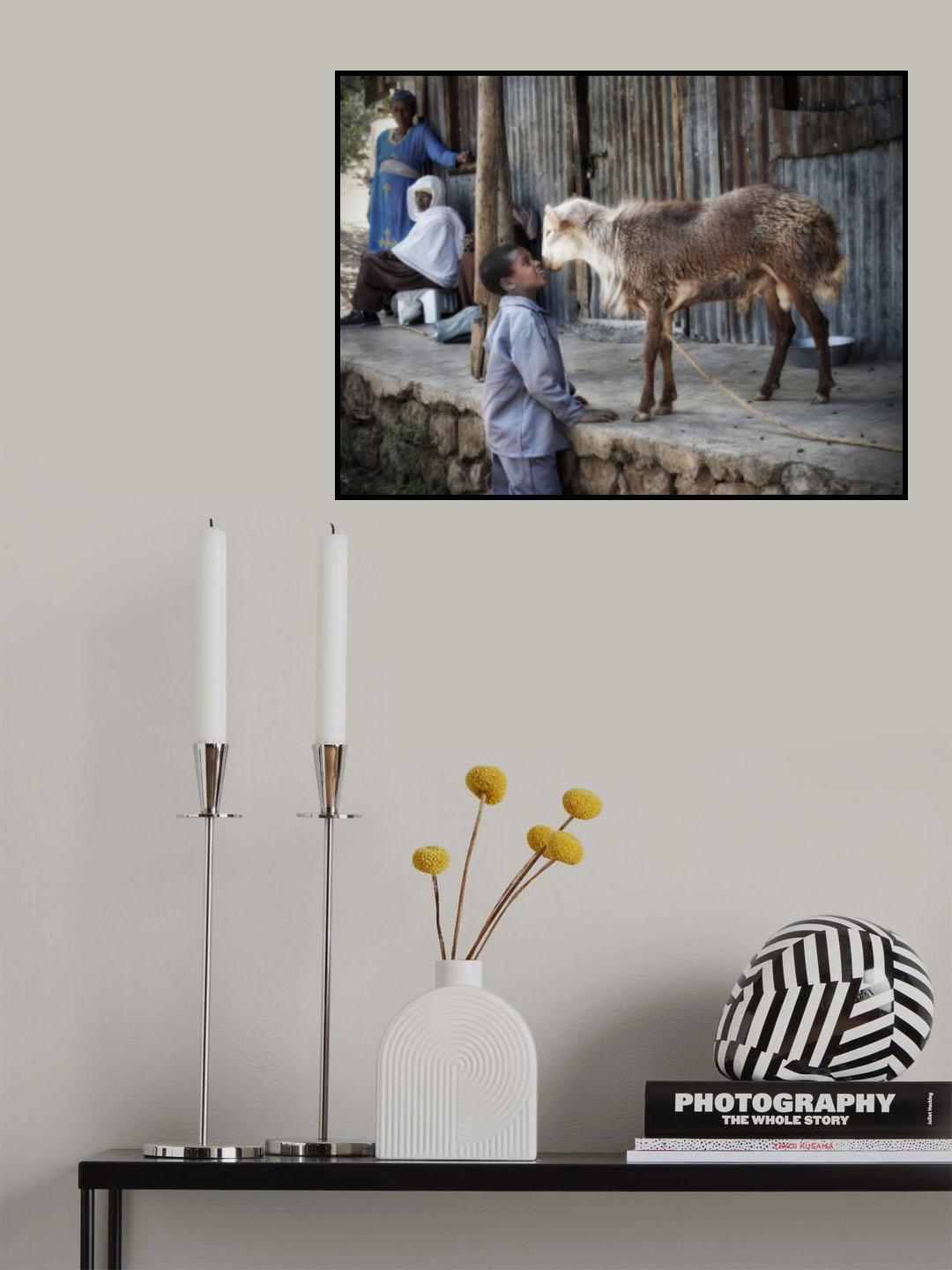 A kiss in need..... Poster och Canvastavla