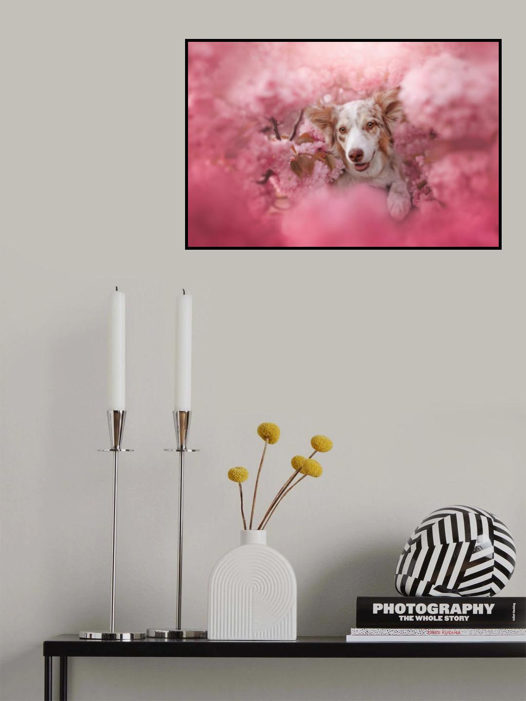 Pink candy Poster och Canvastavla