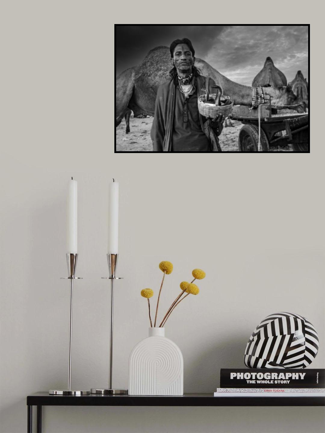 Sapera Poster och Canvastavla