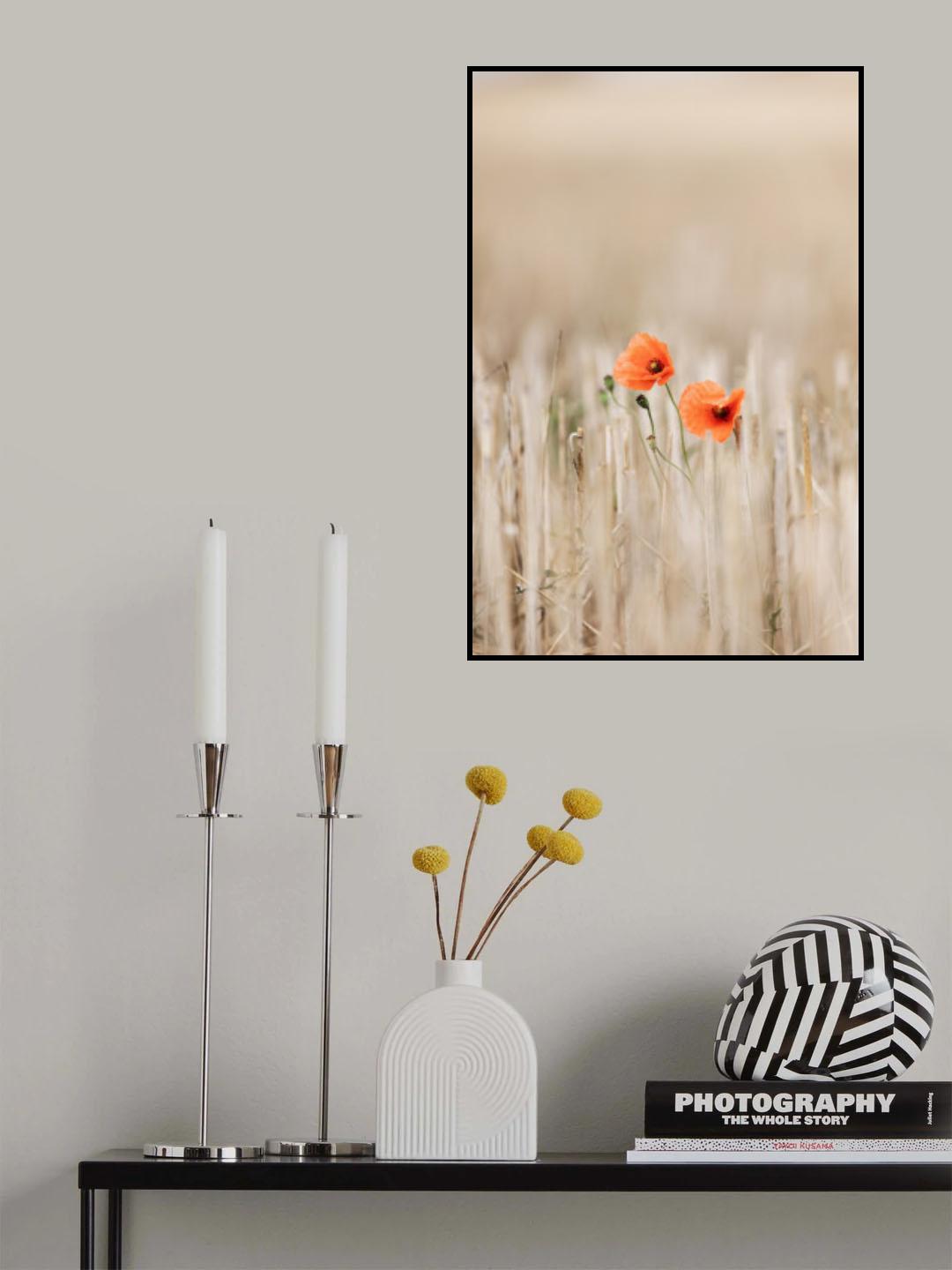 Summer Poppies Poster och Canvastavla