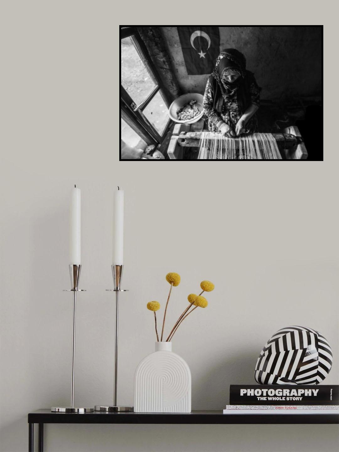 KADIN Poster och Canvastavla