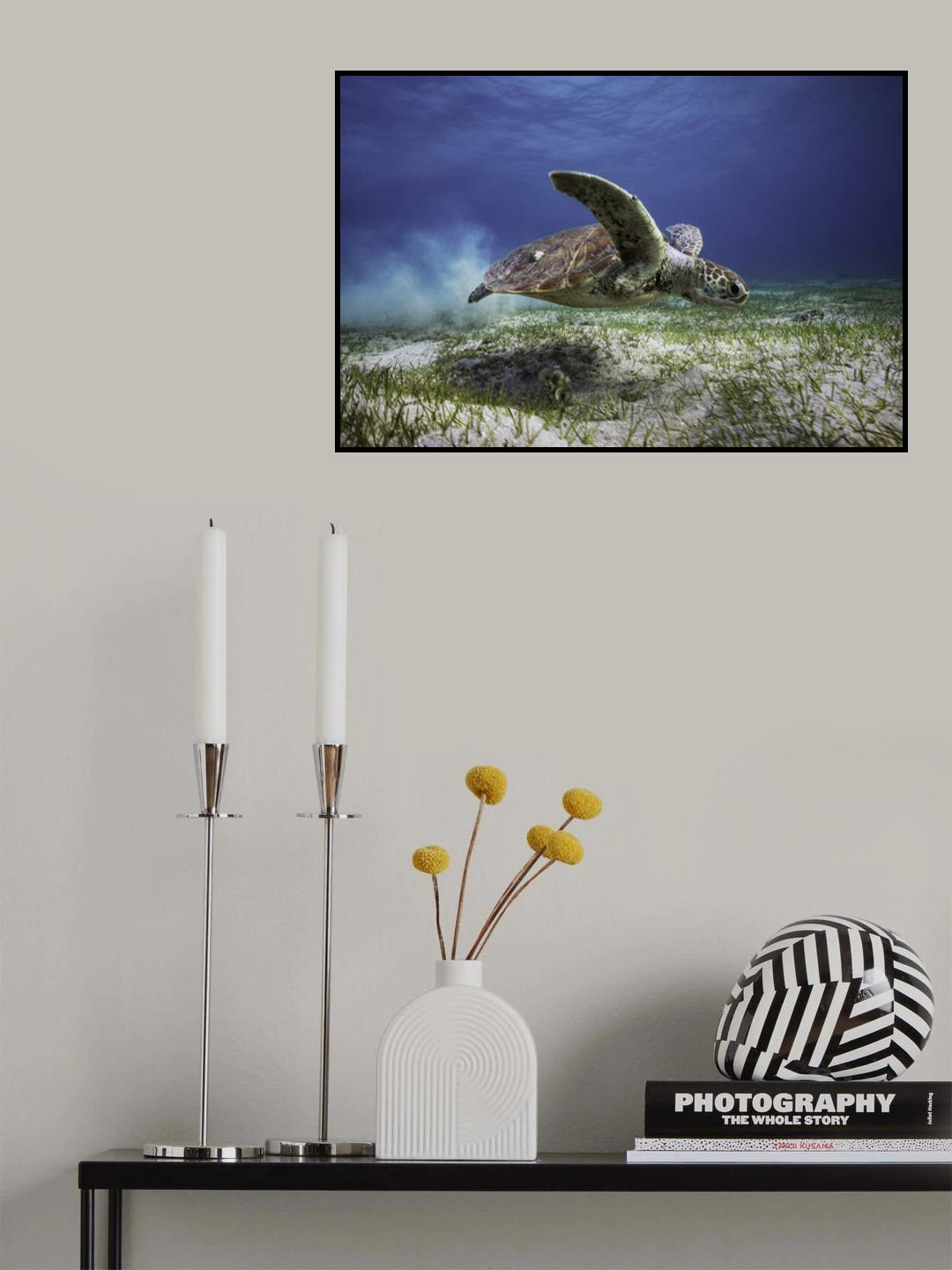 Take off Poster och Canvastavla