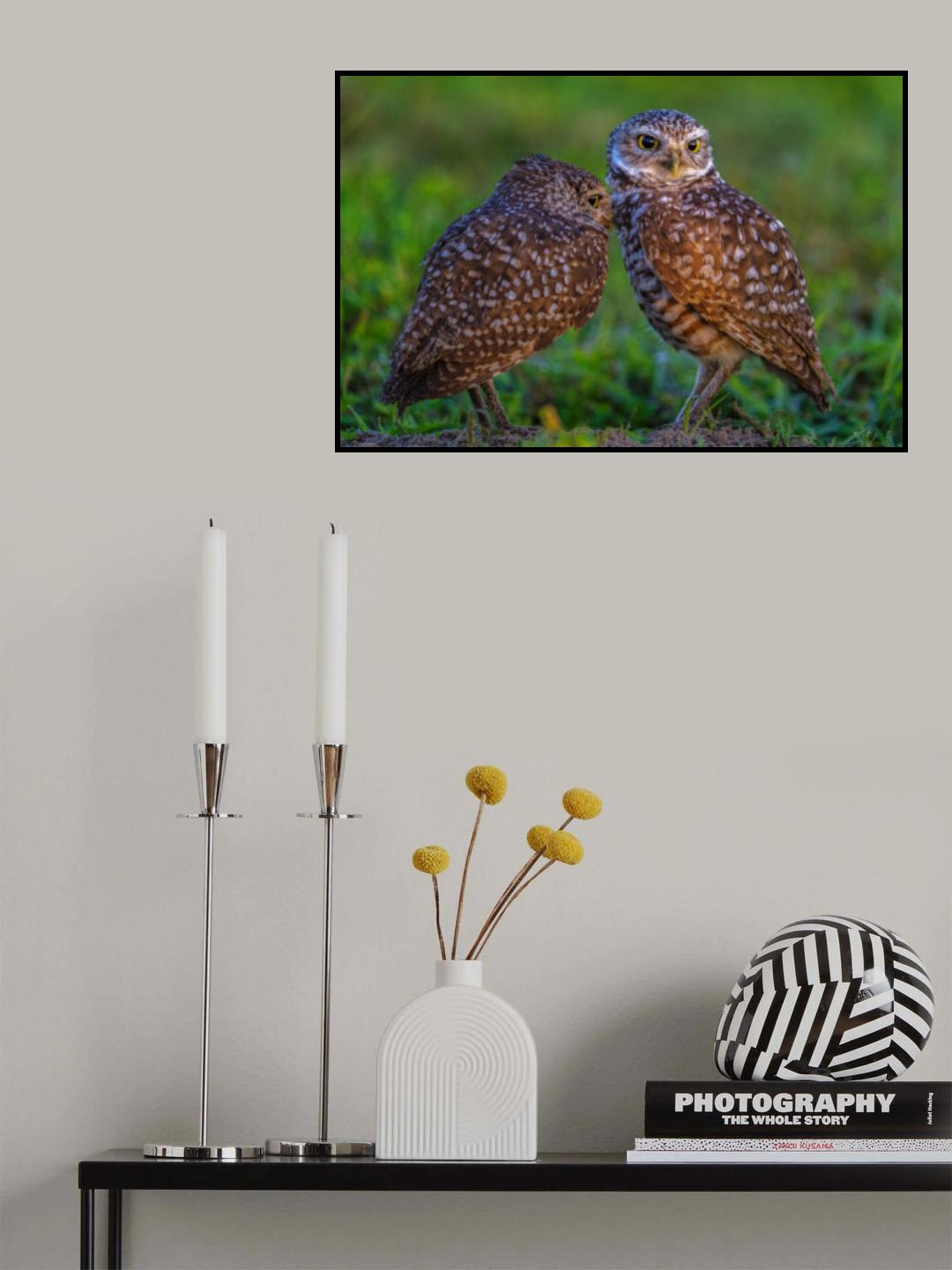 Cute Poster och Canvastavla