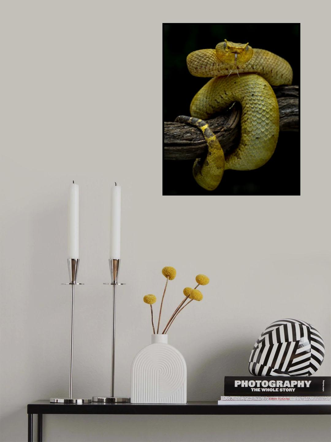 Waiting Poster och Canvastavla
