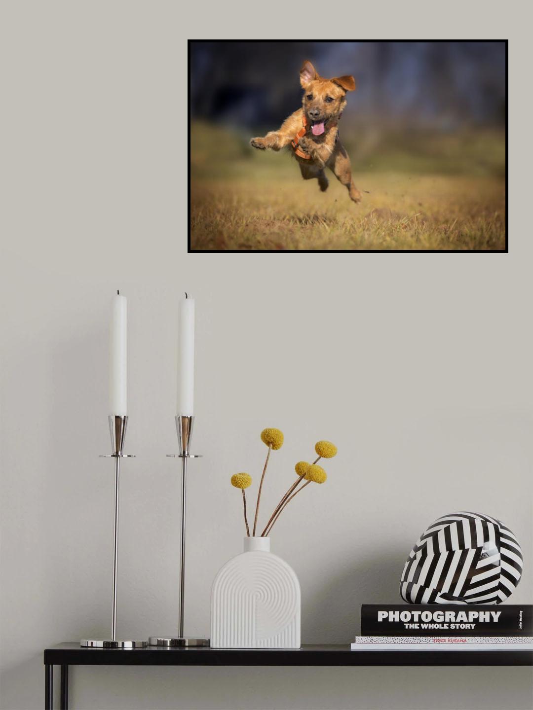 Happy Scooby Poster och Canvastavla