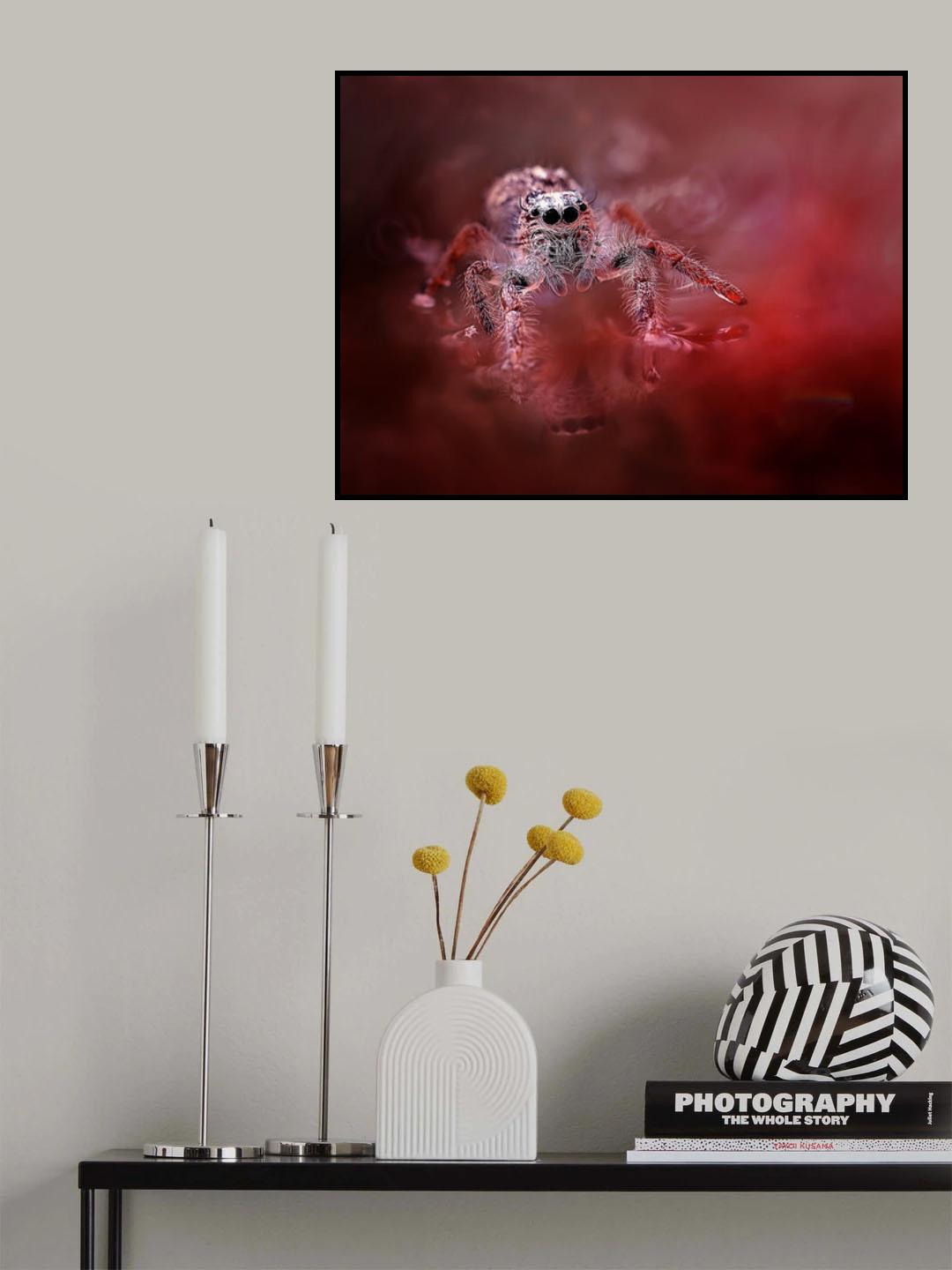Red Spider Poster och Canvastavla