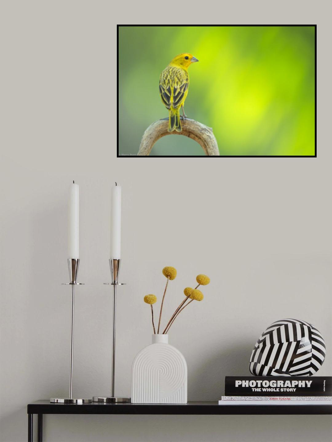 Yellow Poster och Canvastavla