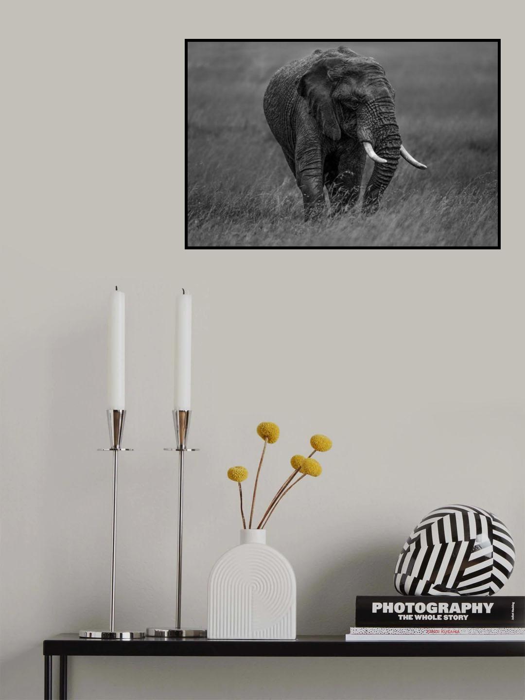 Graphite Poster och Canvastavla