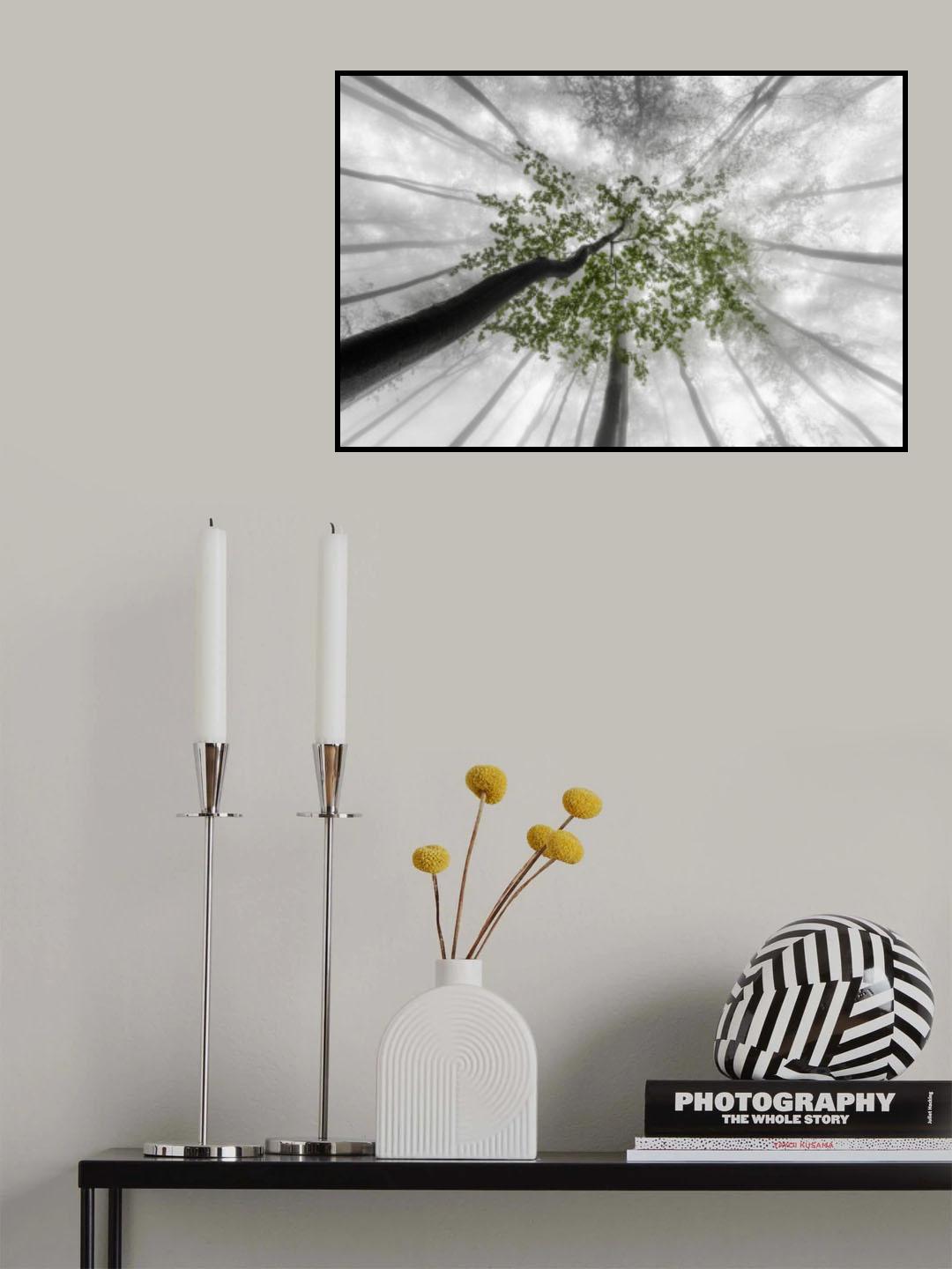 Green leaves Poster och Canvastavla