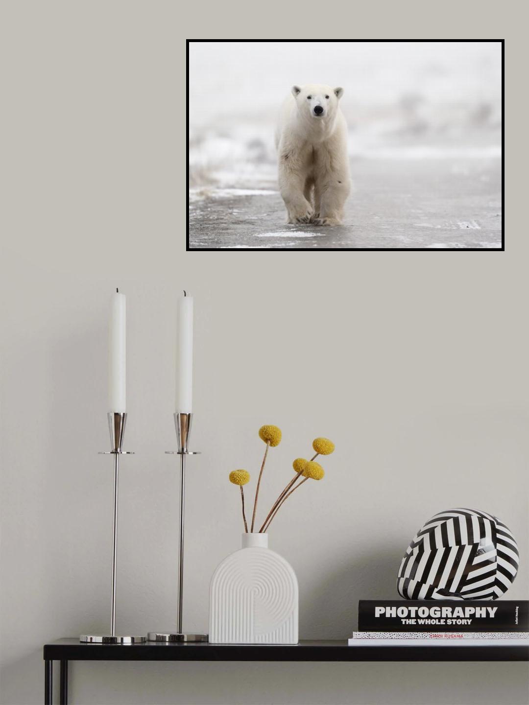 Walk Poster och Canvastavla
