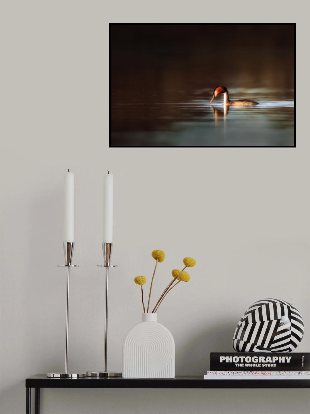 Great Crested Grebe Poster och Canvastavla