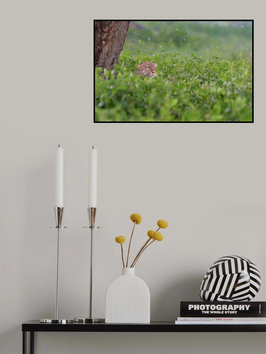 Under the rain Poster och Canvastavla