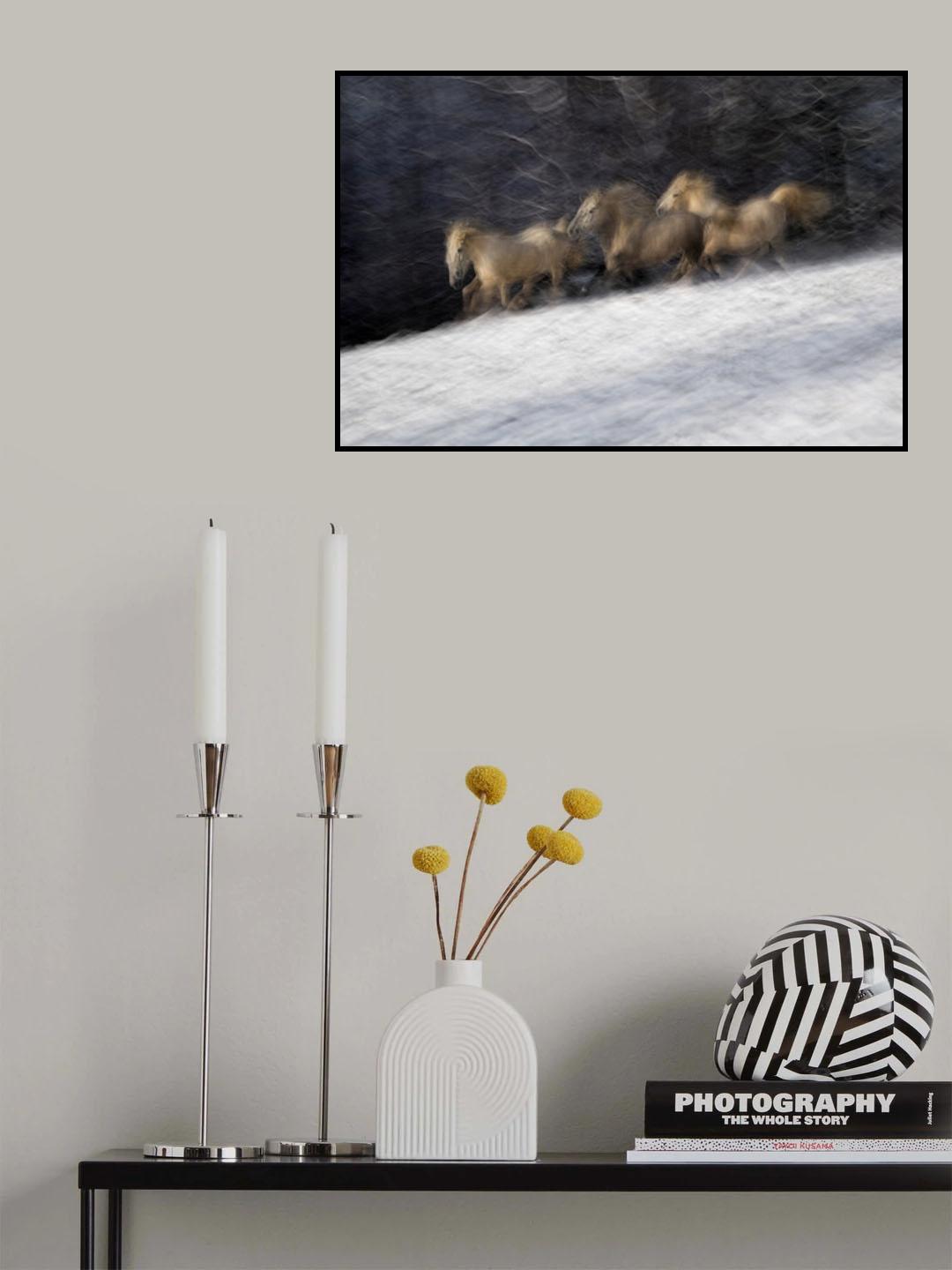 winter contrasts Poster och Canvastavla