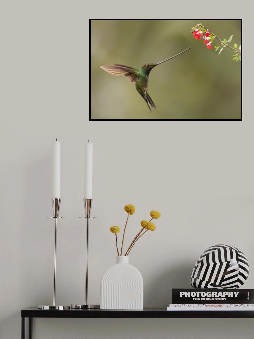 Sword-billed and flowers Poster och Canvastavla