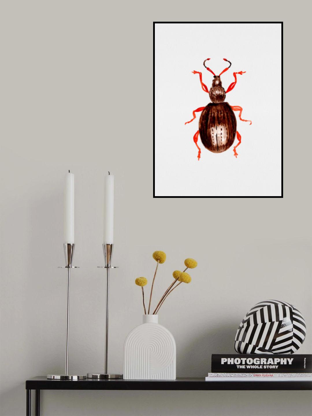Strawberry root weevil or Otiorhynchus ovatus Poster och Canvastavla