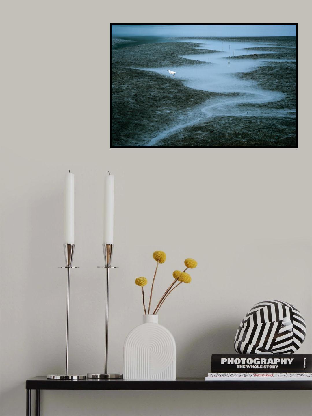 Tideland Poster och Canvastavla
