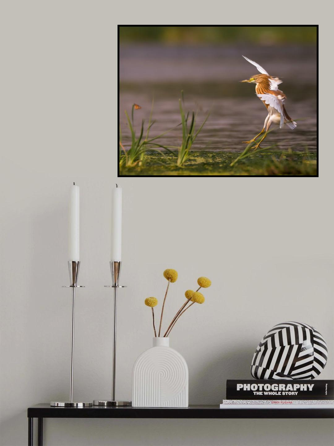 LANDING Poster och Canvastavla