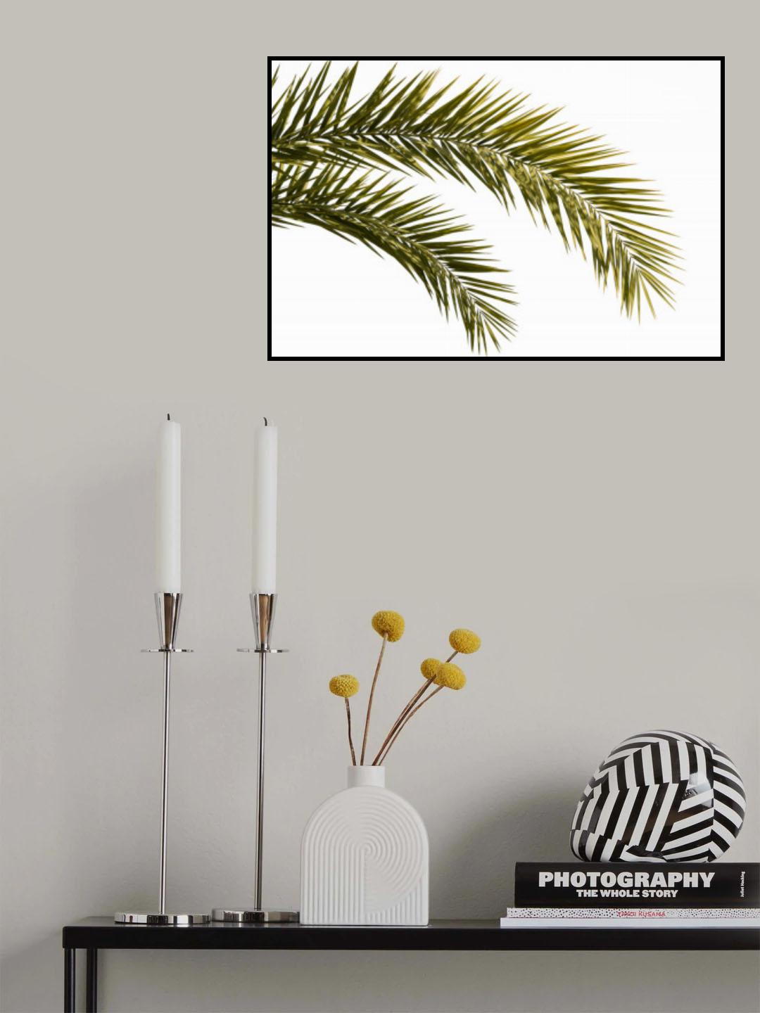 Coconut Tree Leaves Foliage Photo Poster och Canvastavla