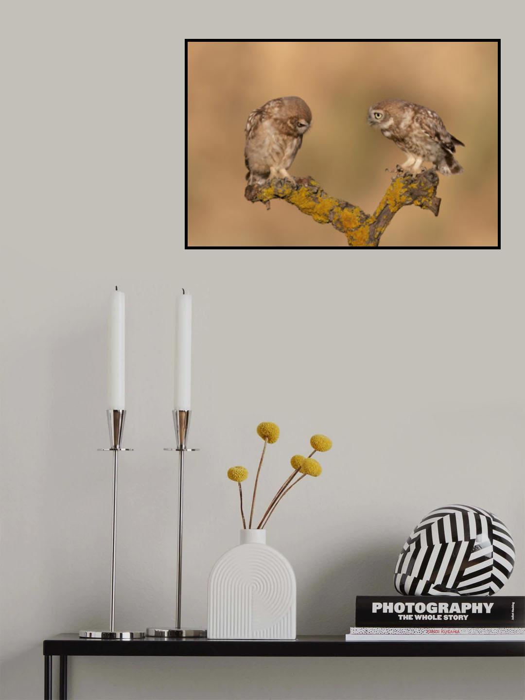 *** Poster och Canvastavla