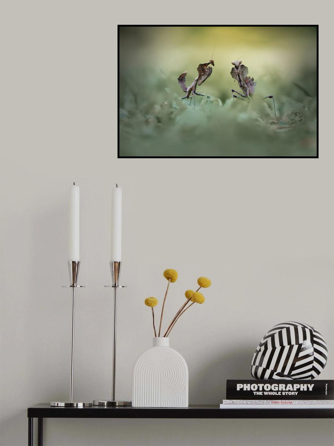 Cobra Mantis Poster och Canvastavla