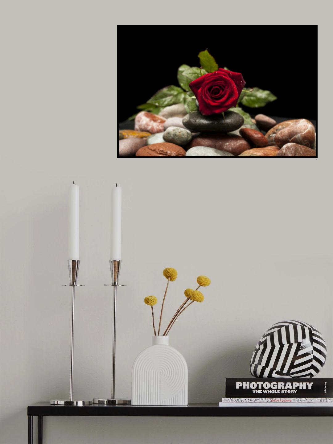 red rose Poster och Canvastavla