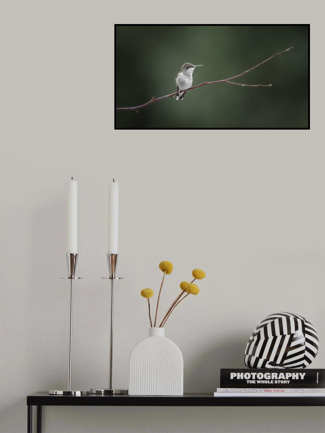 Often I wonder Poster och Canvastavla