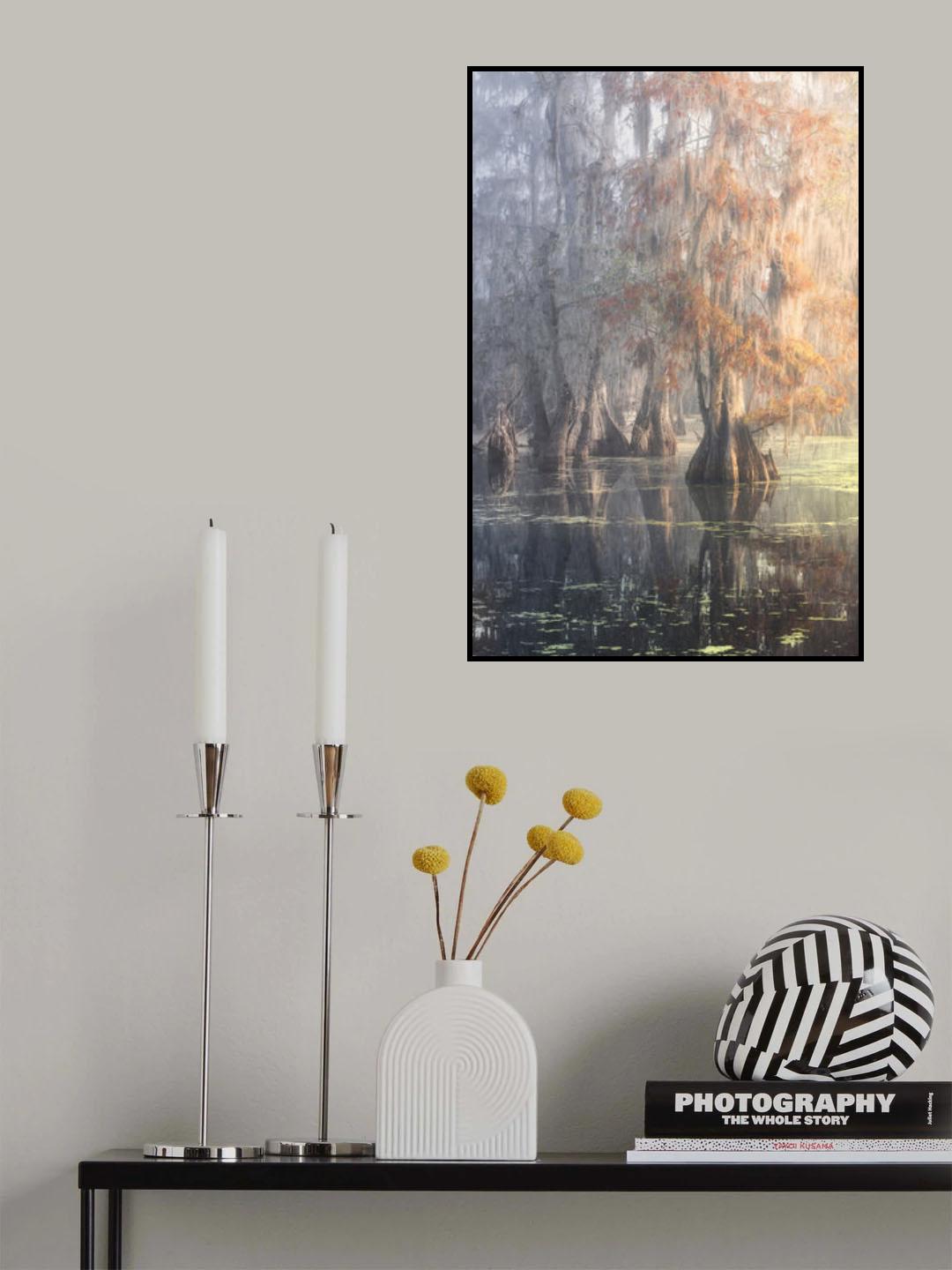 Louisiana Swamp Poster och Canvastavla