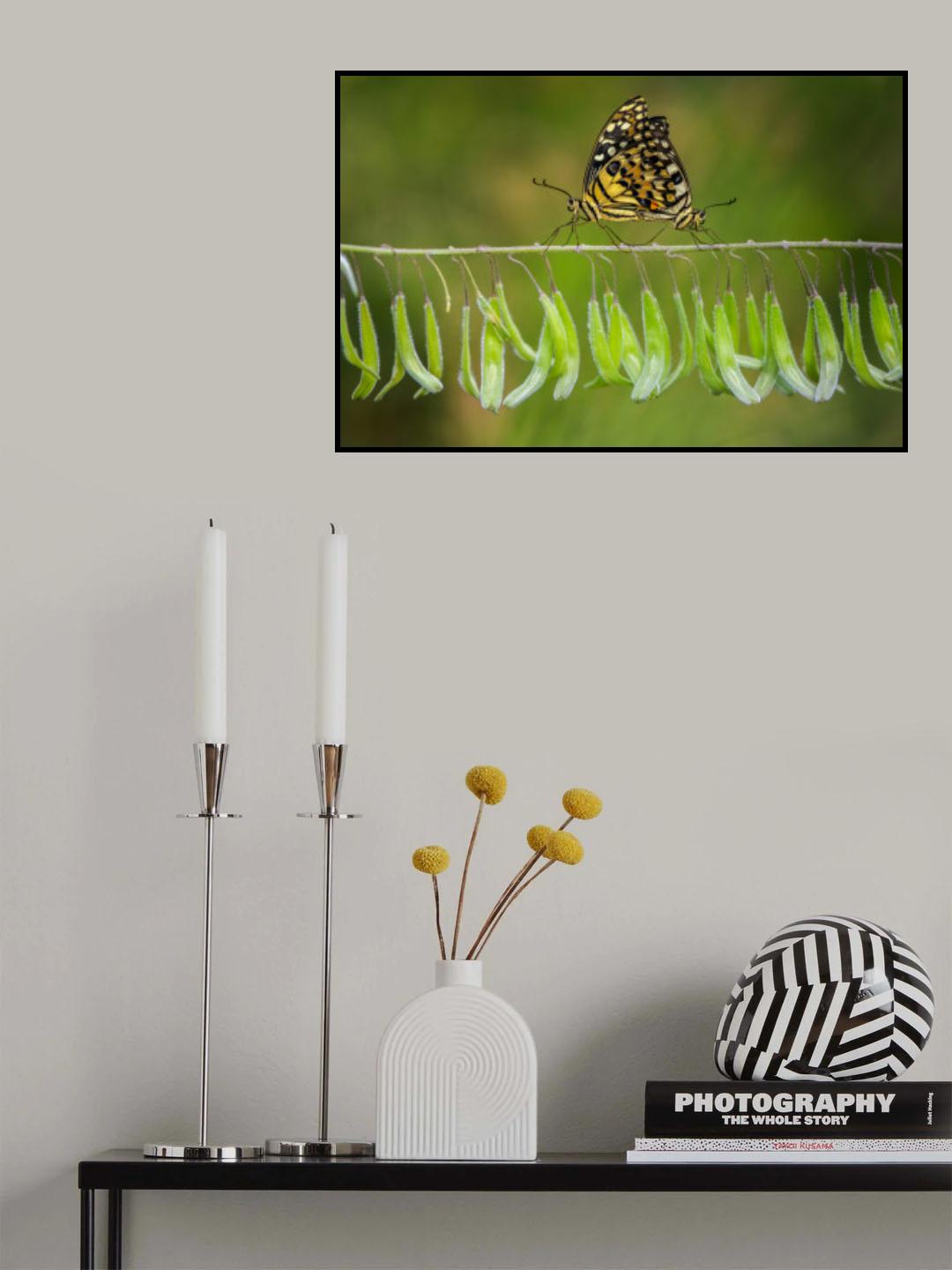 The Intrinsic Connection Poster och Canvastavla